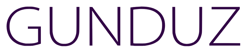 GUNDUZ logo